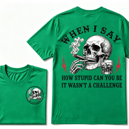 When I Said How Stupid Can You Be It Wasn't A Challenge T-shirt