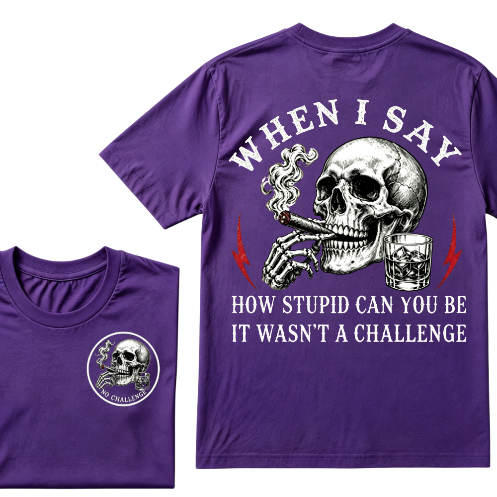 When I Said How Stupid Can You Be It Wasn't A Challenge T-shirt